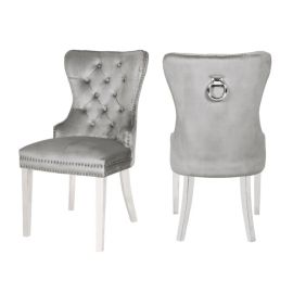 Galaxy Rita 2 Piece Stainless Steel Legs Chair Finish with Velvet Fabric in Light Gray