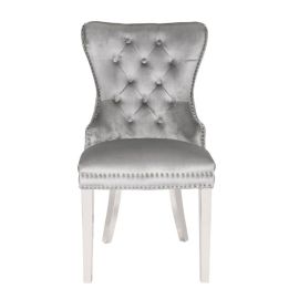 Galaxy Rita 2 Piece Stainless Steel Legs Chair Finish with Velvet Fabric in Light Gray
